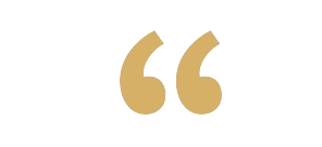 gridicons quote removebg preview
